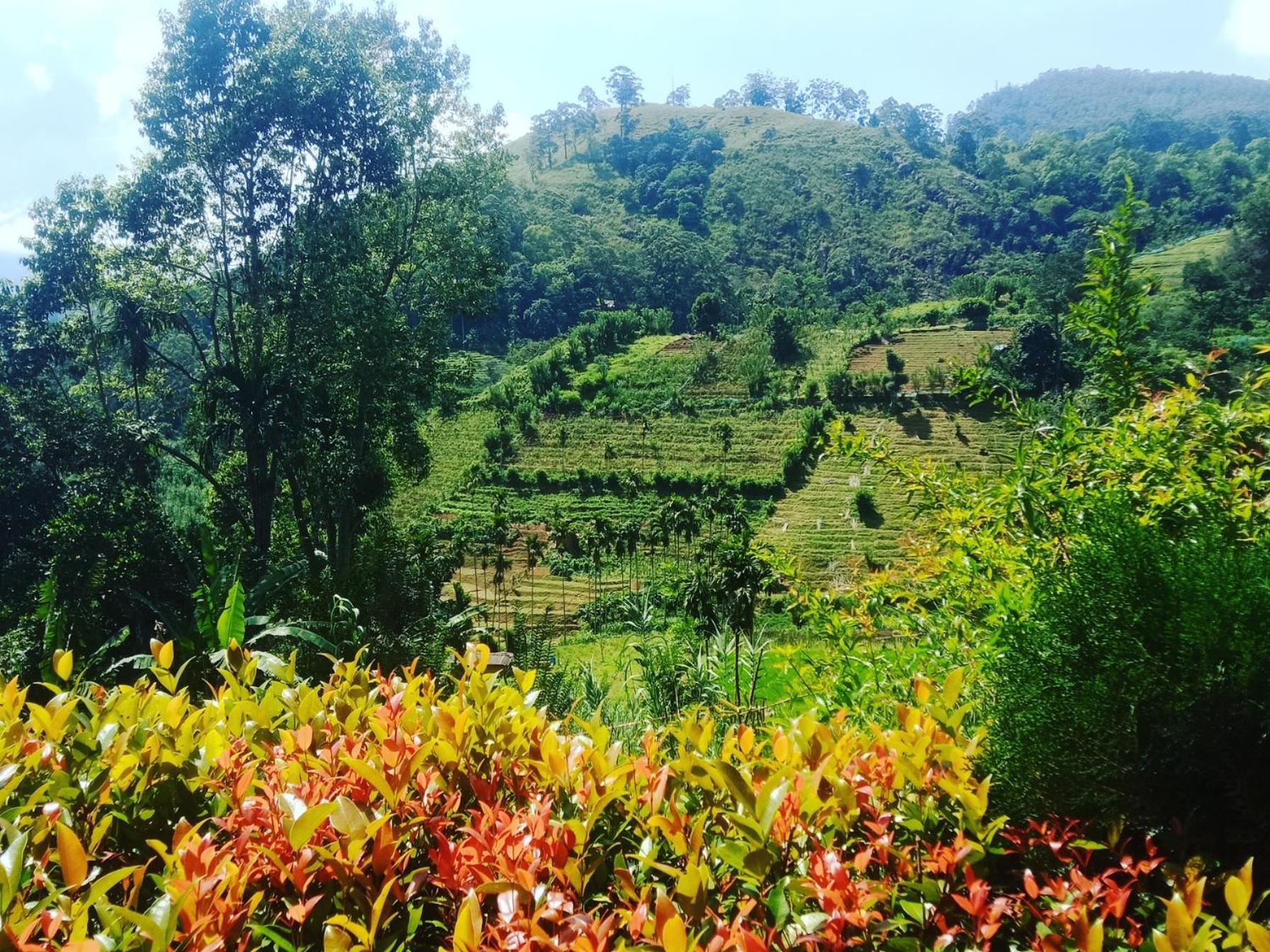 New Farmers Paradise 埃拉 客房 照片