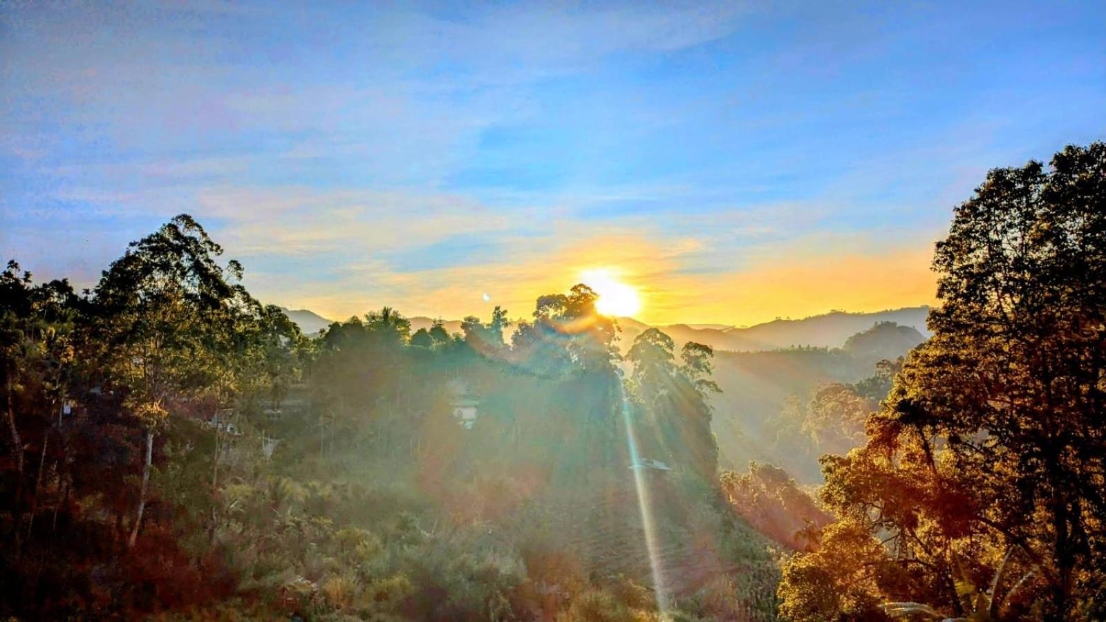 New Farmers Paradise 埃拉 外观 照片