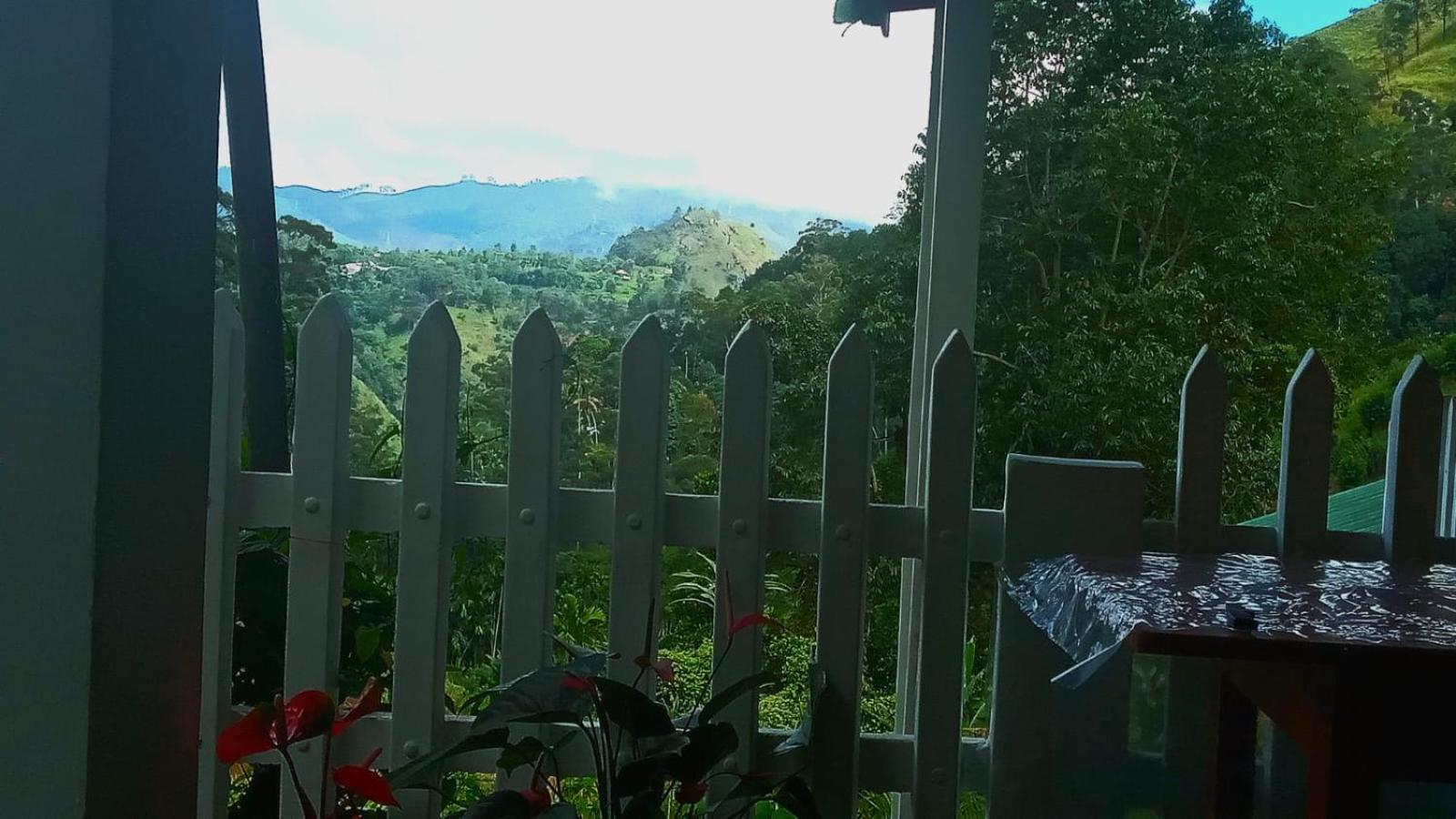 New Farmers Paradise 埃拉 外观 照片